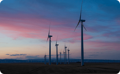 Study: 80% of SMEs Miss Carbon Funding Opportunities